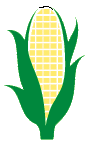 maize